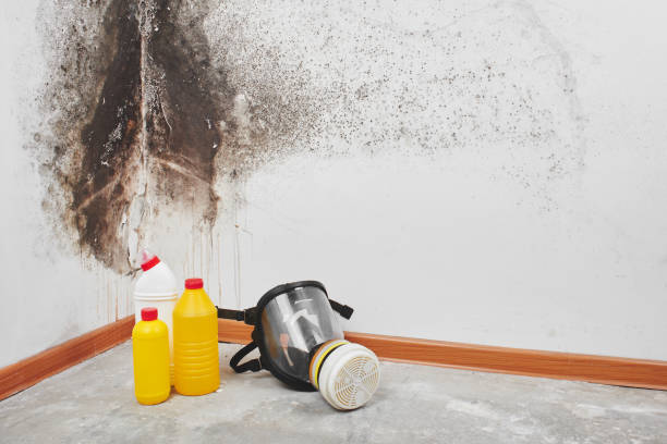 Crawl Space Mold Removal in Estancia, NM
