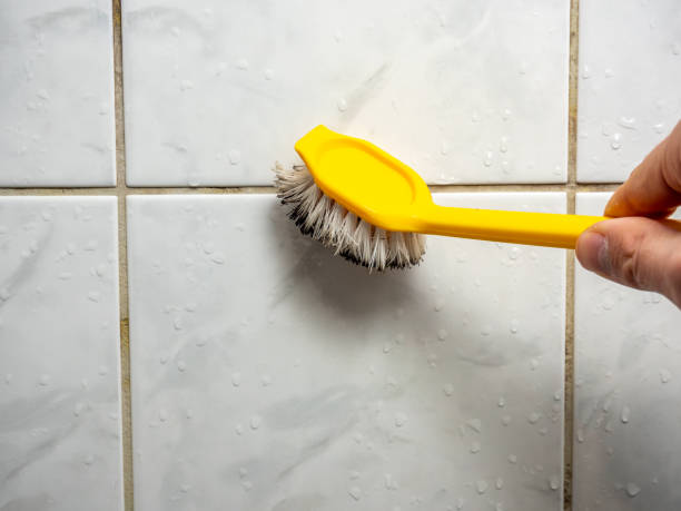 Best Mold Remediation  in Estancia, NM