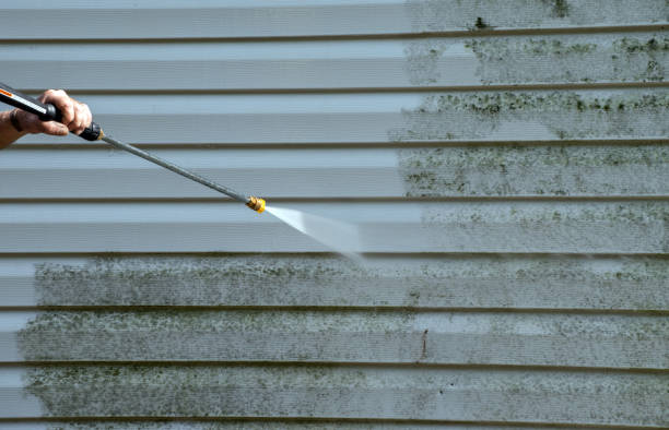 Best Attic Mold Removal  in Estancia, NM