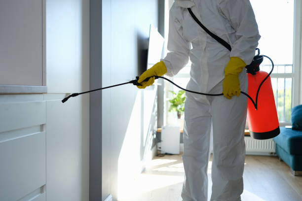 Best Emergency Mold Removal  in Estancia, NM