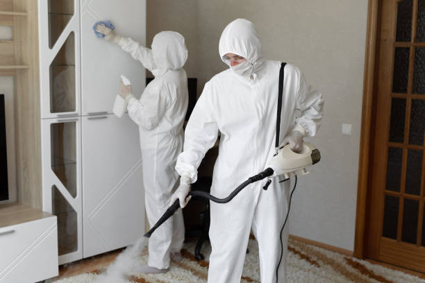 Best Toxic Mold Removal  in Estancia, NM