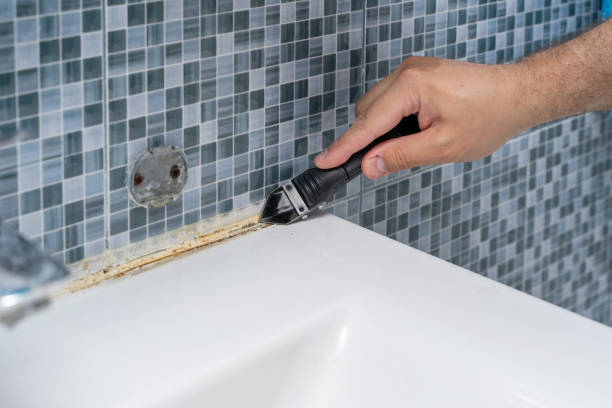 Best Black Mold Removal  in Estancia, NM