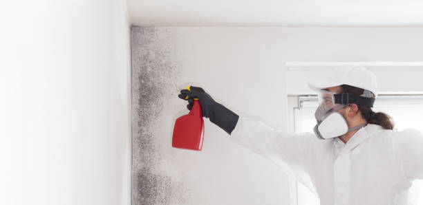 Best Residential Mold Removal  in Estancia, NM