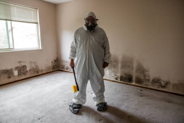 Best Mold Testing  in Estancia, NM